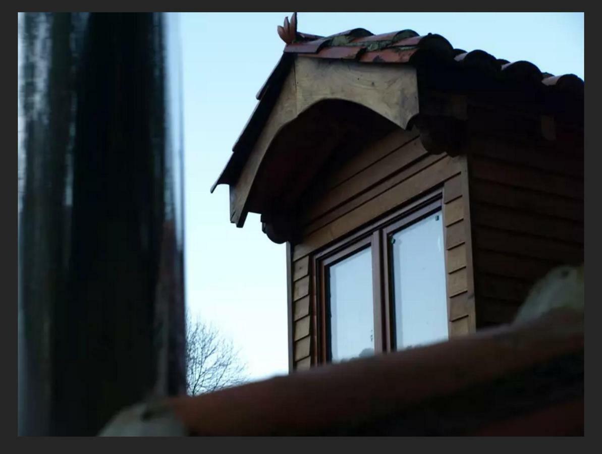 Casa *